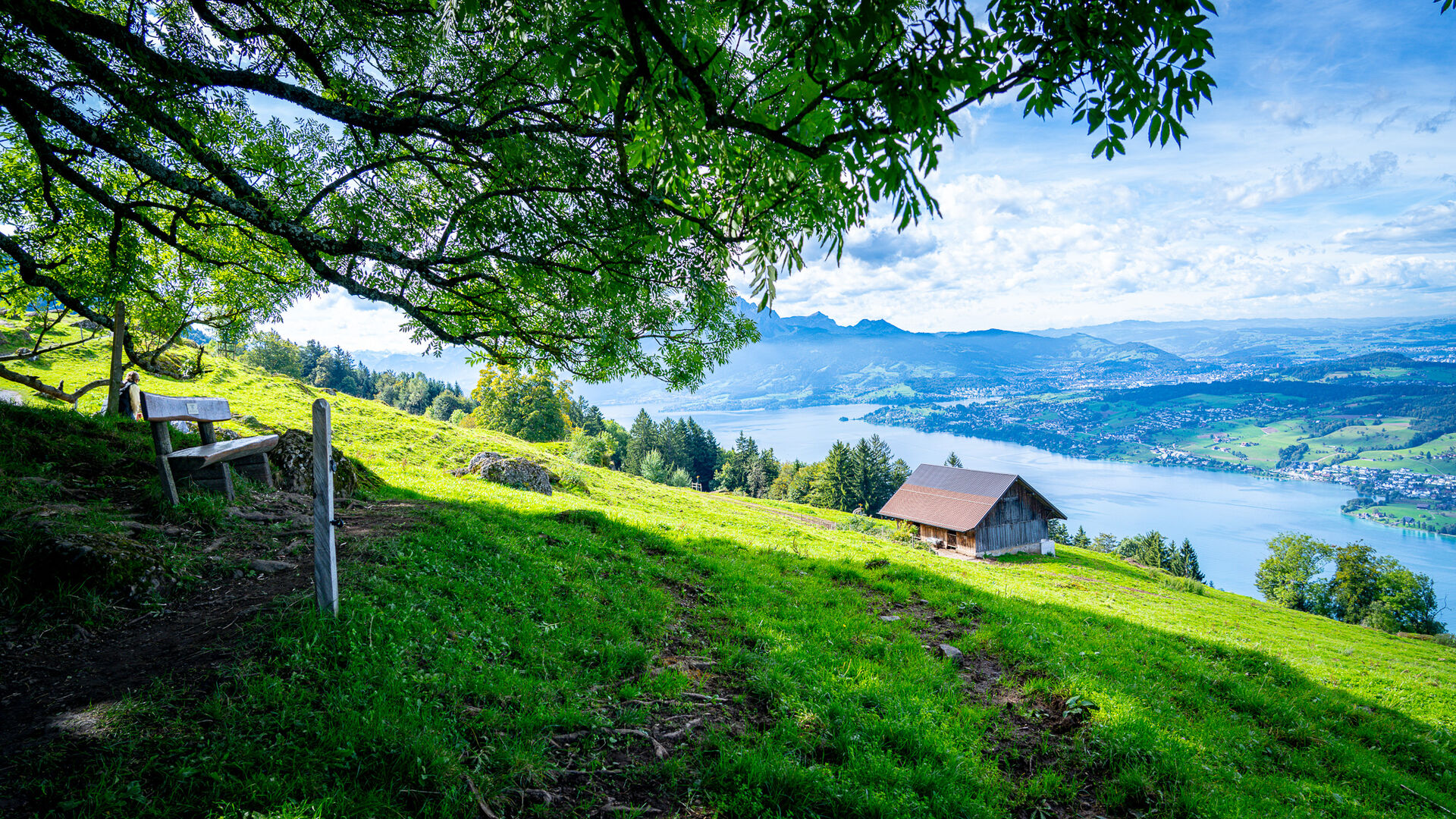 Wanderweg mit Blick auf Berge und See in der Schweiz